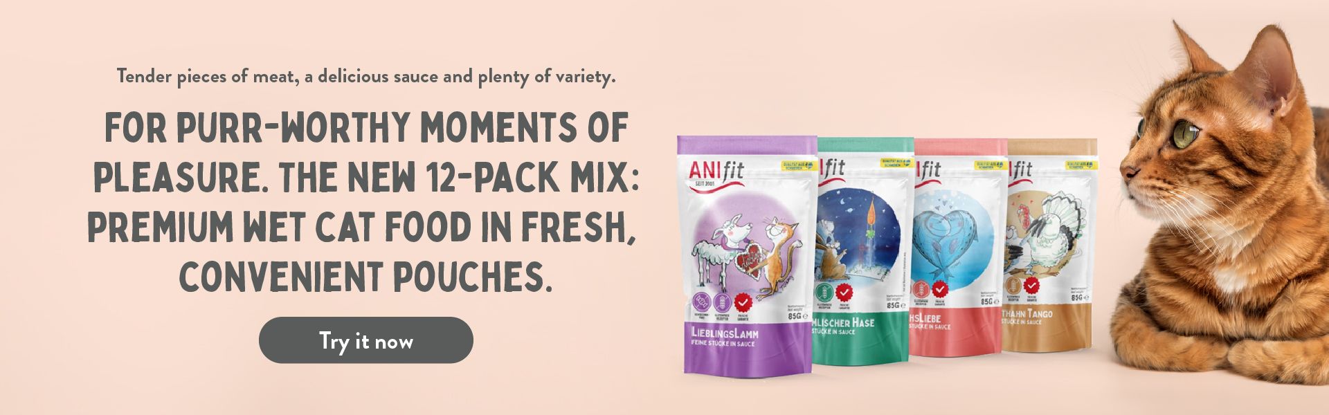 Wet cat food in a fresh pouch
