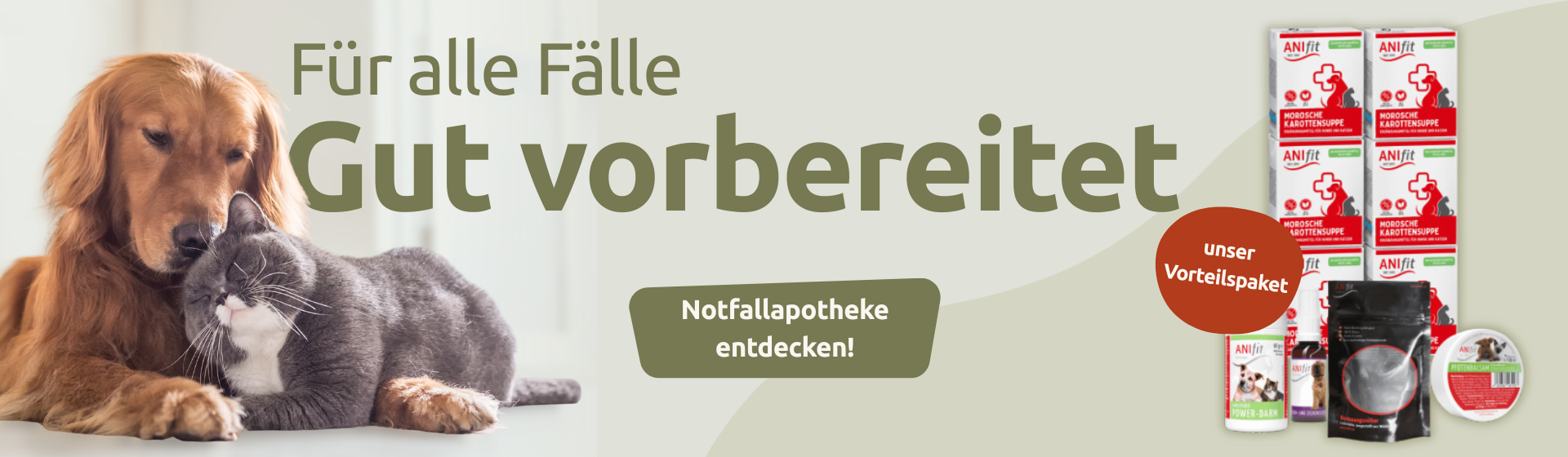 Notfallapotheke Hund Katze